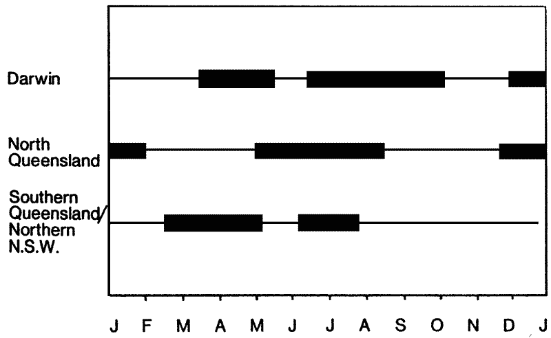 Chart of carambola fruiting times in Australia.