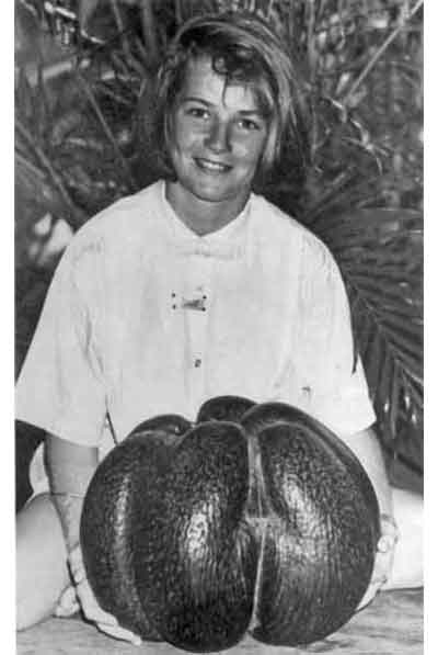 Photo  of person with a Coco-De-Mer seed