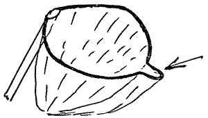 Sketch of fruit picker.