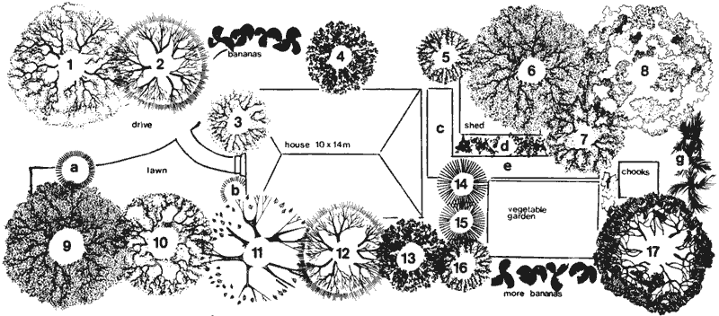 Landscape plan for suburban block