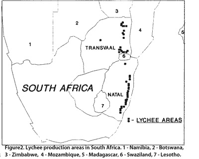Map showing lychee production in southern Africa.