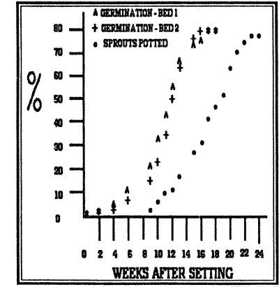 Graph of germination success.