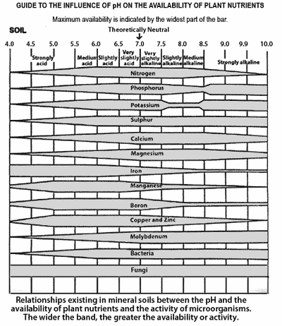 Graph of mineral availability related to pH.