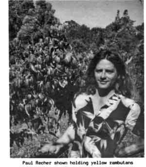 Photo of Paul Recher holding yellow rambutans.