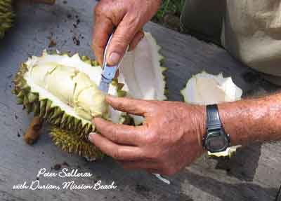 Durian photo