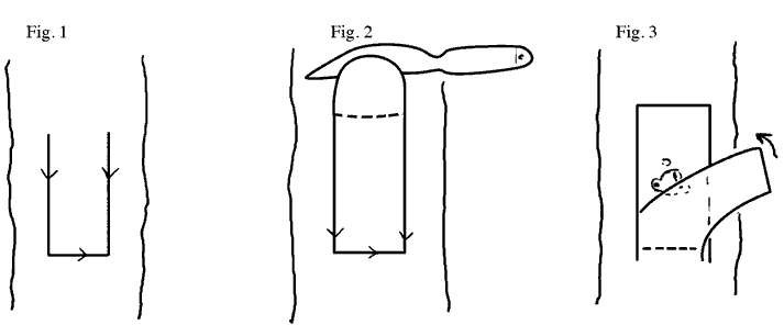 Graphic of Standard Modified Forkert Bud Graft