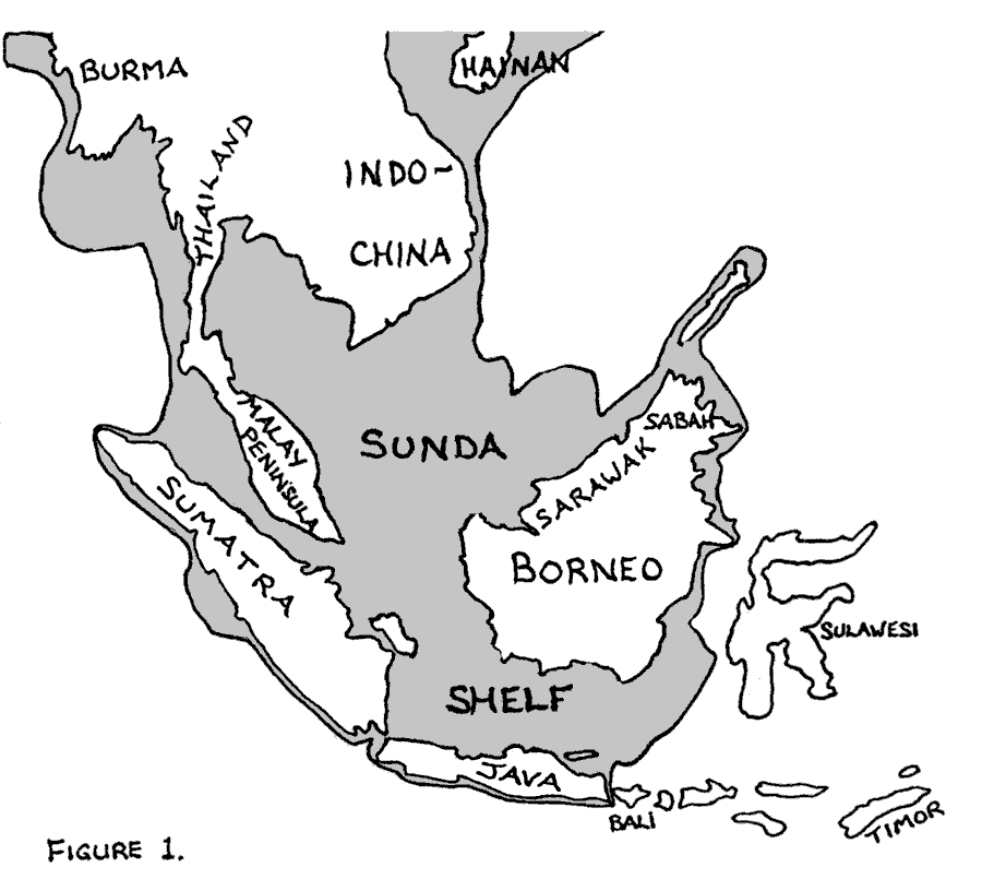 Drawing of the region of the Sunda Shelf