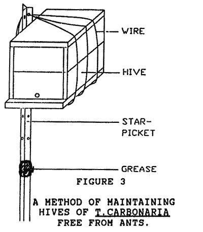 A drawing of the hive mounted on a greased stake to prevent ant invasion