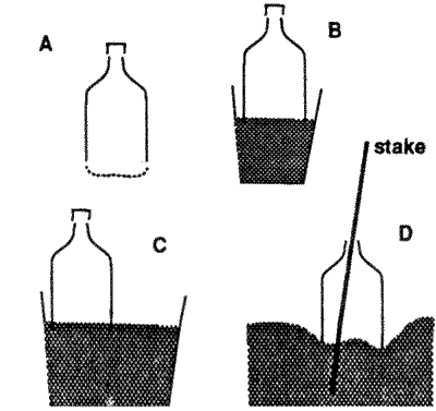 Sketches of using plastic bottles for propagation or watering.