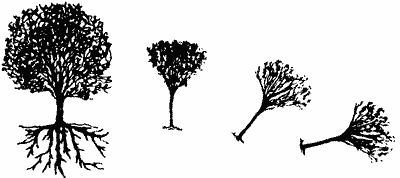 Sketch of trees falling