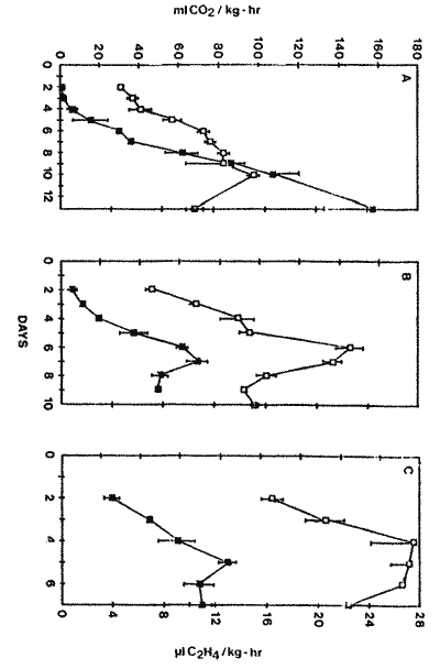 Chart of respiration and ethylene