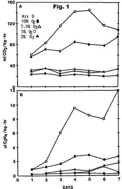 Graph of ethylene production of stored durian.