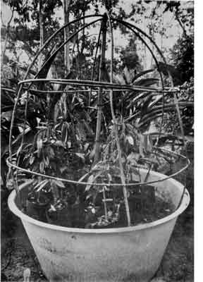 Photo of Fitzroy Tank with cover removed.