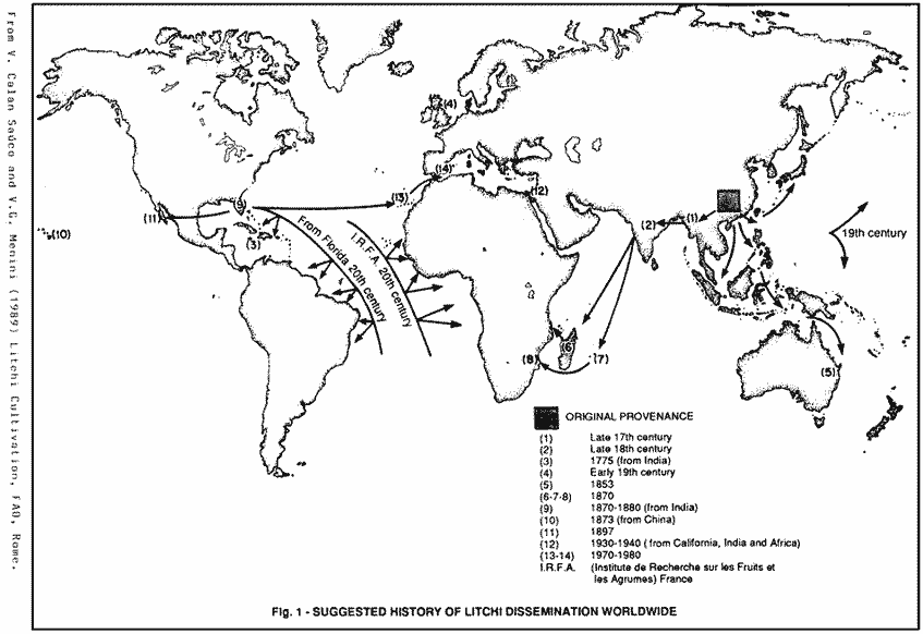 Map of Lychee History.