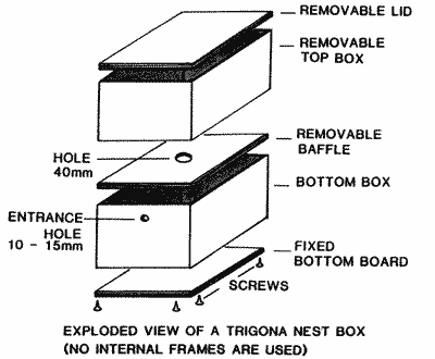 Drawing of a nest box for Trigona bees.