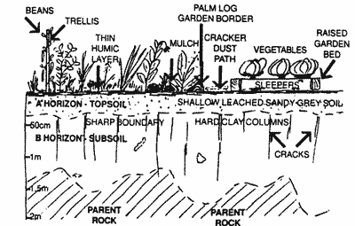 A schematic of Townsville soils.