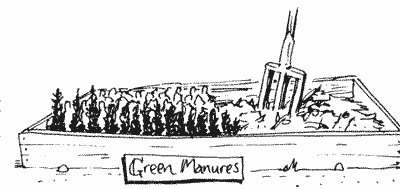 Sketch of green manure being dug in.