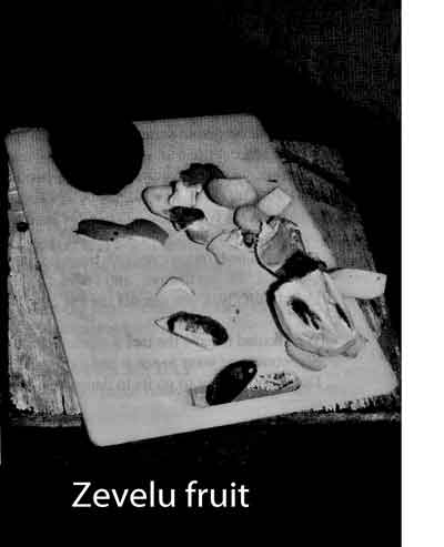 Photo of Zevelu fruit.